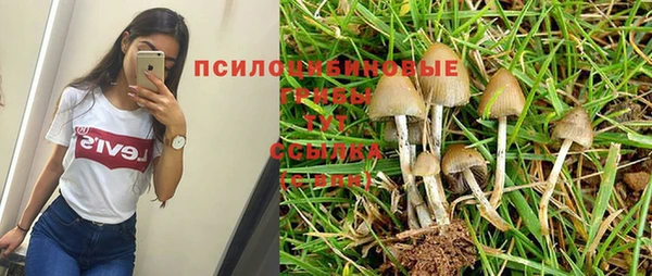 прущий лед Белоозёрский
