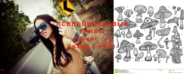 каннабис Беломорск